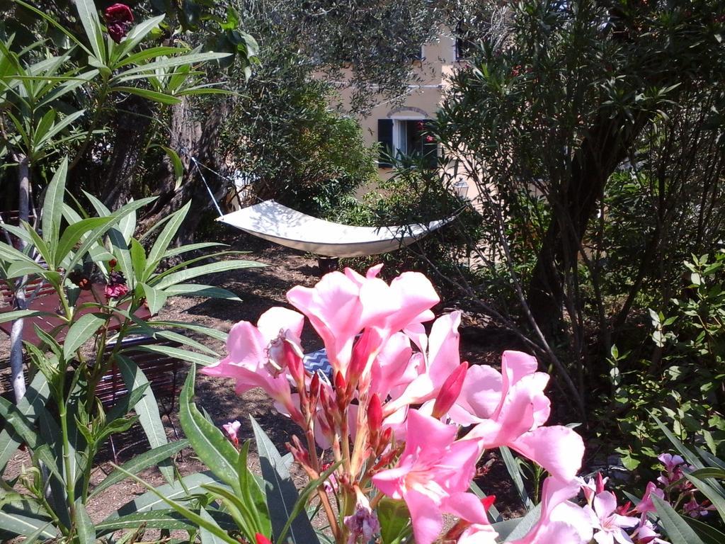 B&B Ududema Dolcedo Bagian luar foto